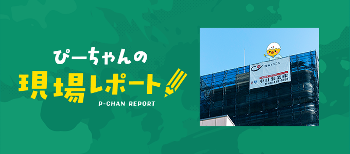 ぴーちゃんの現場レポート