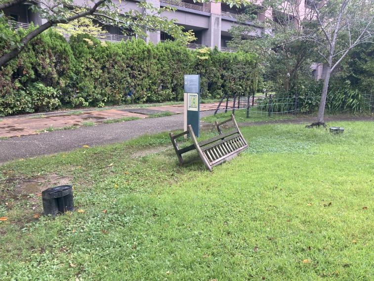 台風１４号