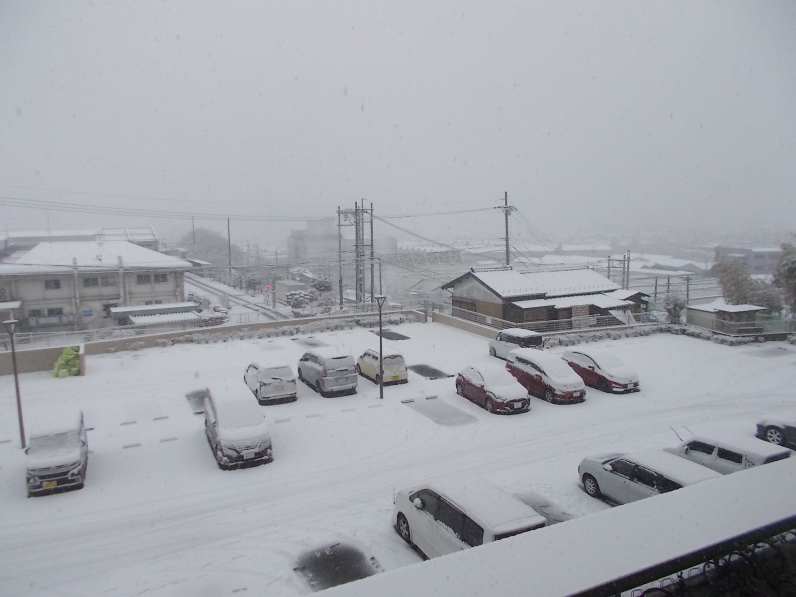 寒さが厳しい日が続きます