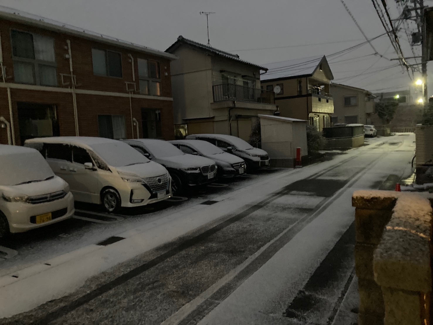 寒さが続きます。。。
